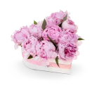 Květinový box pivoňek